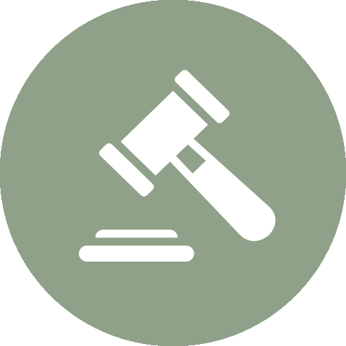 expert-witness